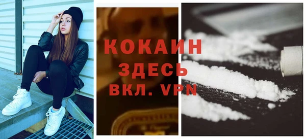 сатива Богородицк