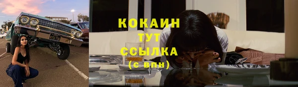 сатива Богородицк