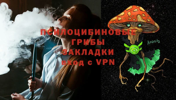 Альфа ПВП Богородск
