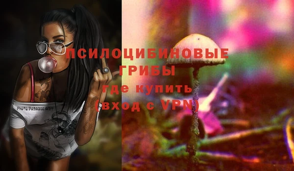 сатива Богородицк