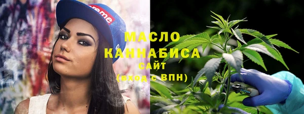 Альфа ПВП Богородск
